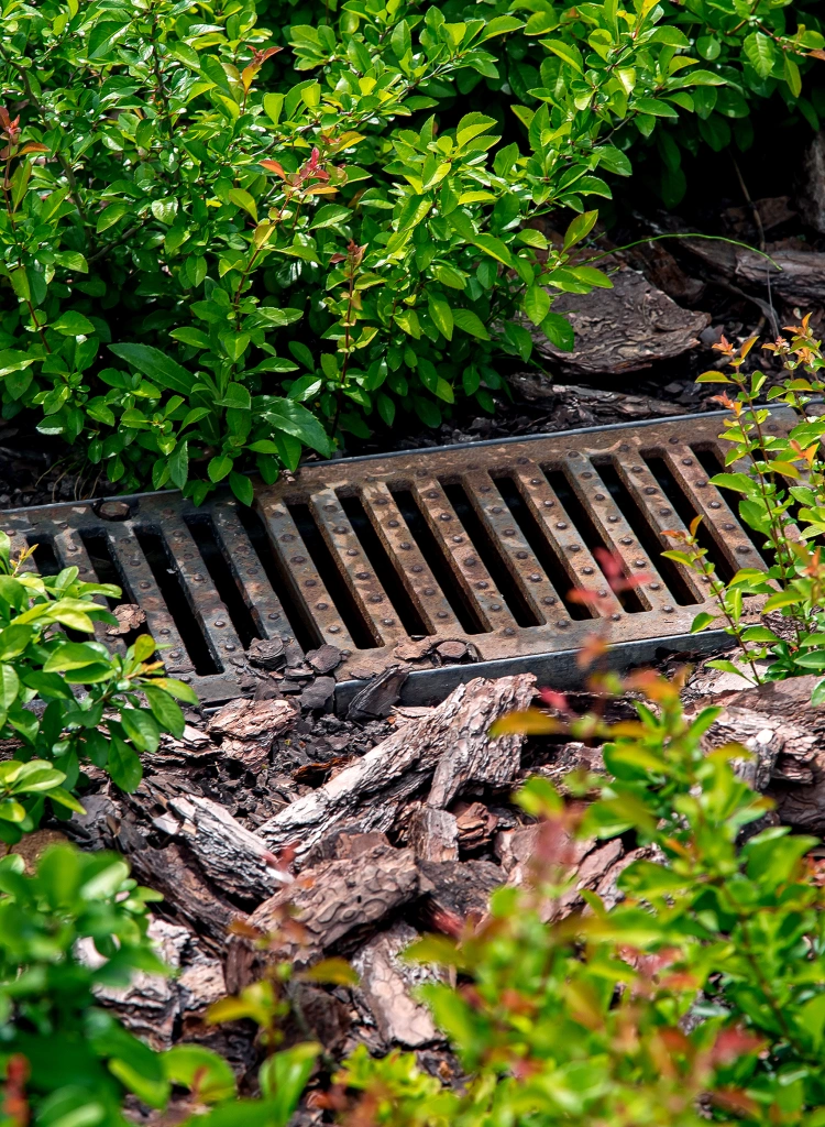 Garden Drainage