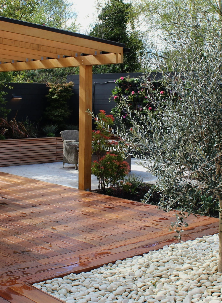 Olive tree in deck edit 2025 04 30 131110 kocz