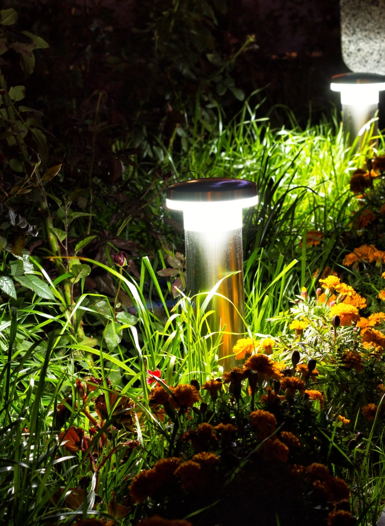 Garden lighting at night