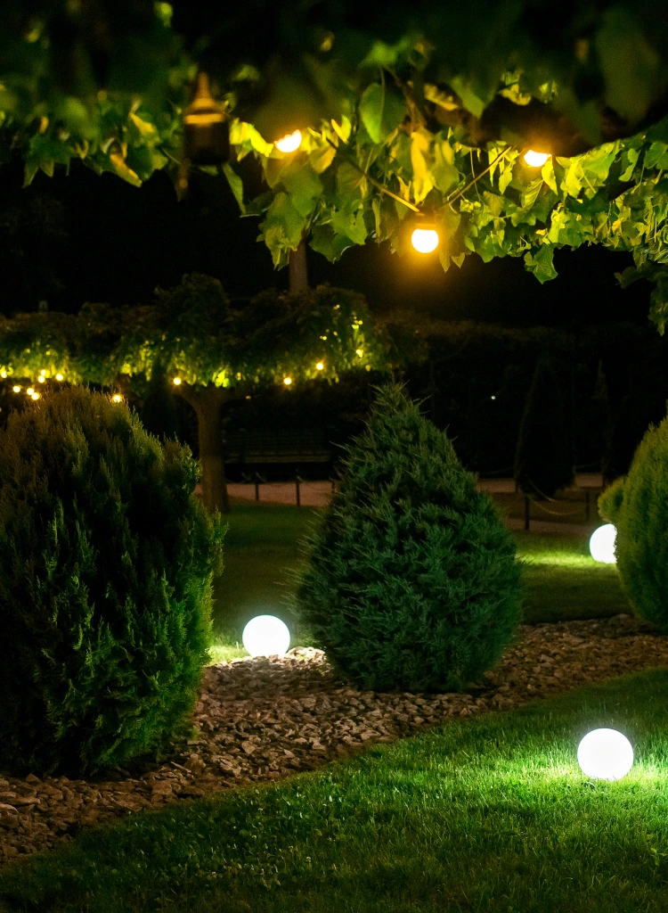 Garden Lighting Illuminating Garden at Night