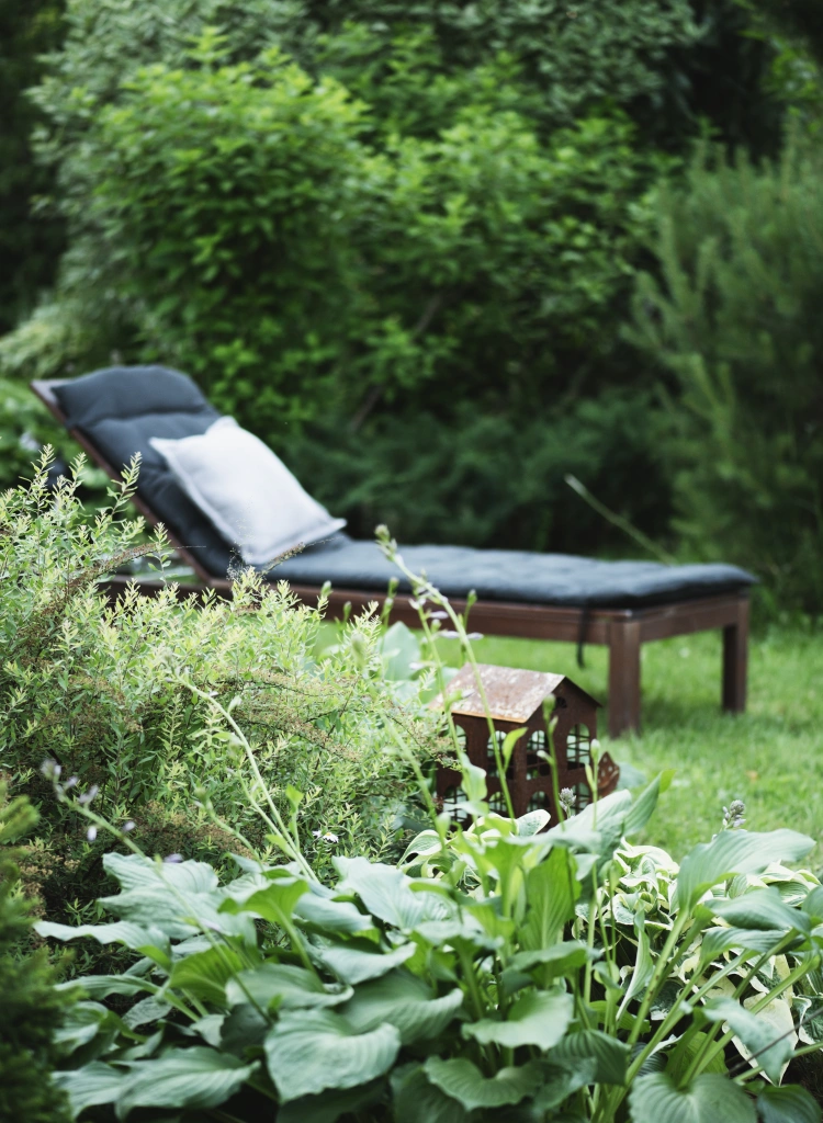 Ornamental summer garden view with shady border with hostas wooden deck chair for relaxing on background