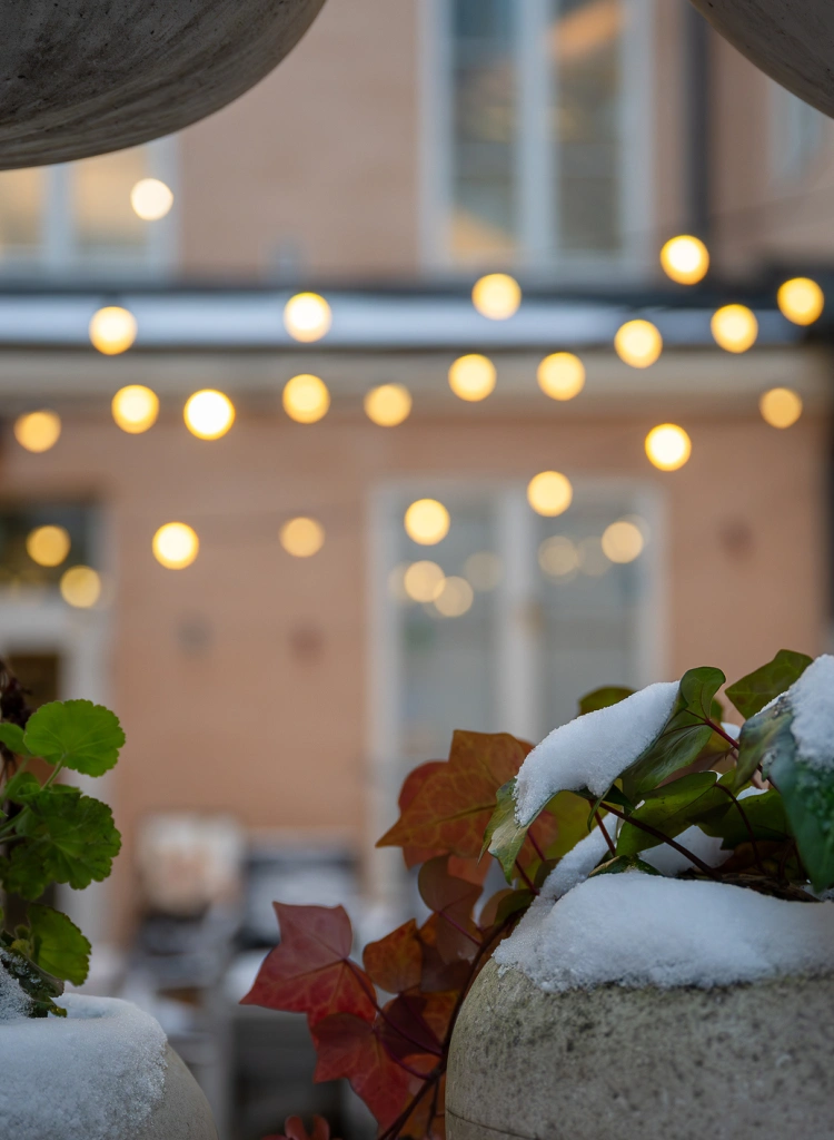 Snow covered plants in pots with warm bokeh lights in a cozy outdoor setting