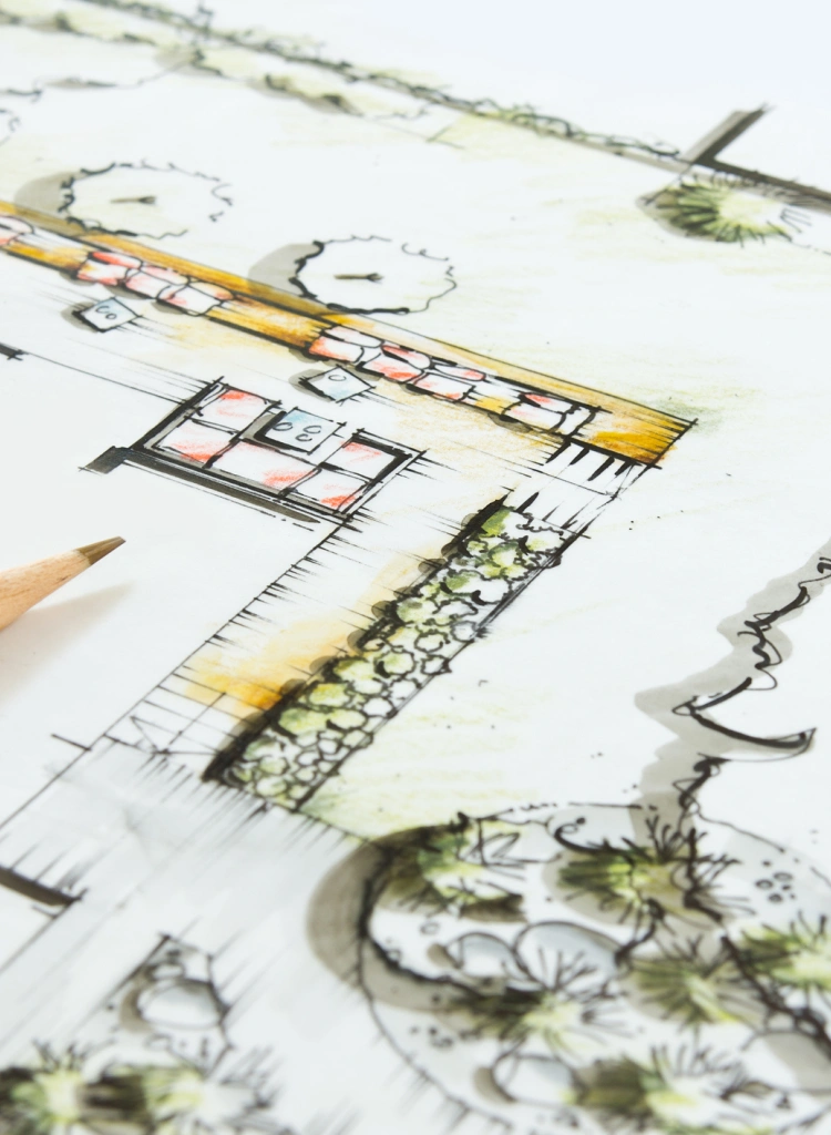 Landscape graphic Drawing