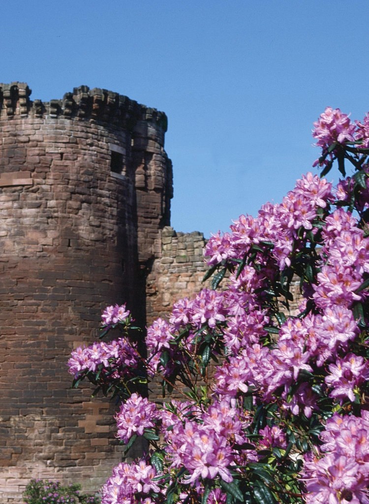 Bothwell Castle Lanarkshire Scotland