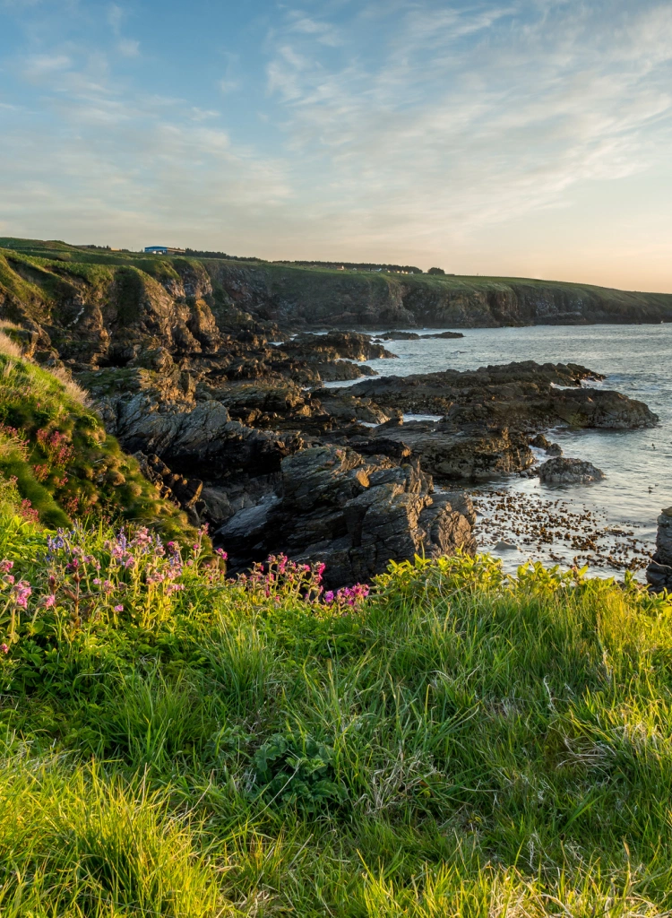 The Cove coastline Aberdeen Aberdeenshire