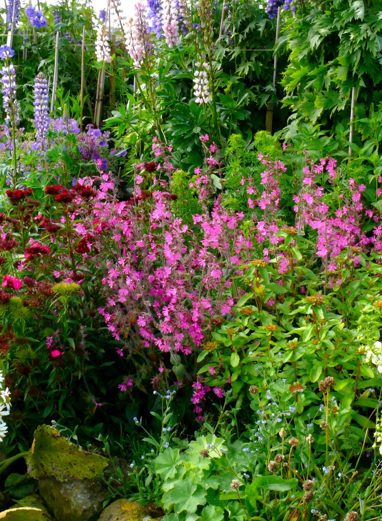 Scottish country cottage garden