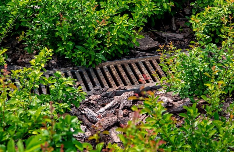 Garden Drainage