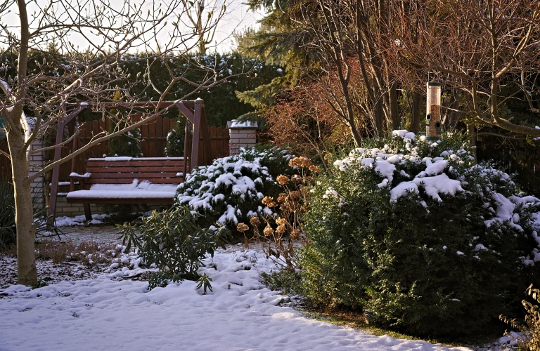 Scotland Wet Winter Garden