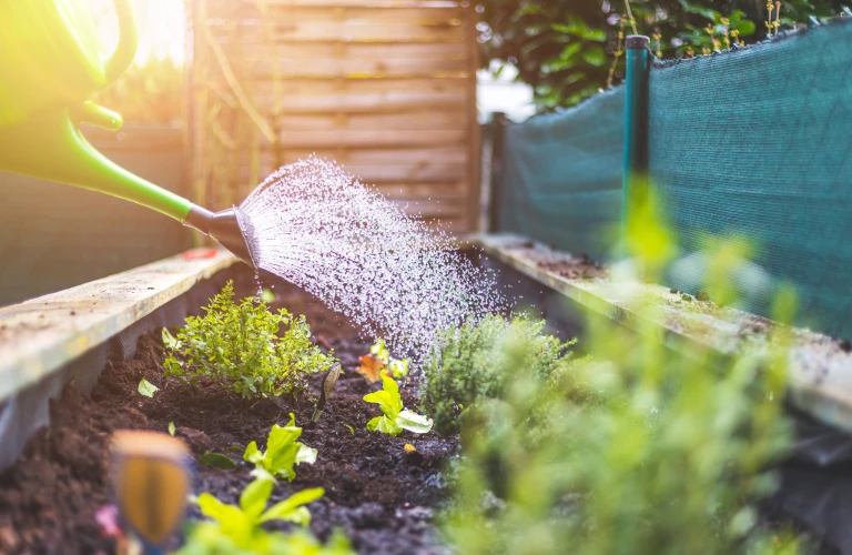 Watering garden
