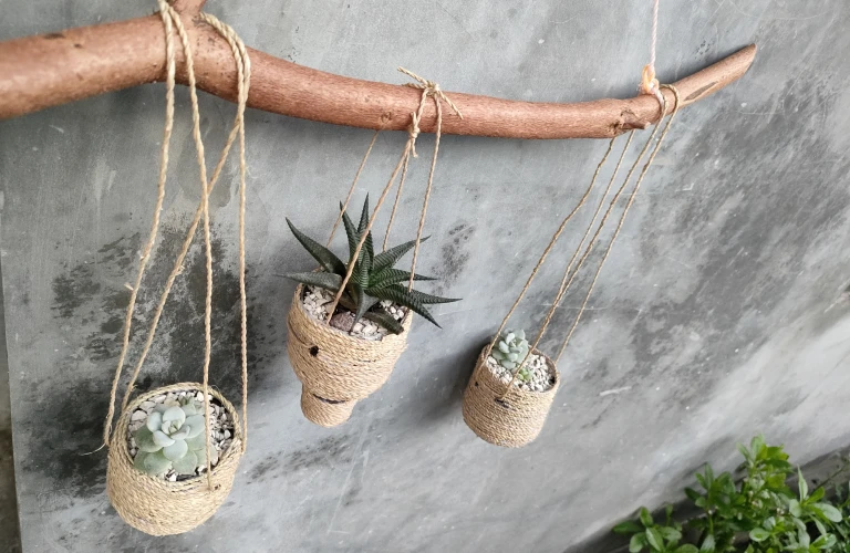 Planting Scheme