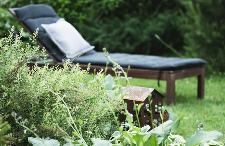 Ornamental summer garden view with shady border with hostas wooden deck chair for relaxing on background