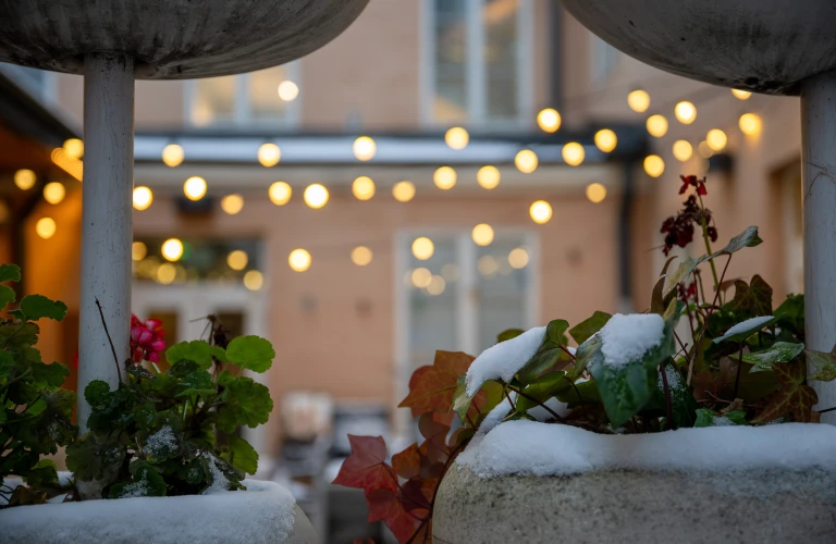 Snow covered plants in pots with warm bokeh lights in a cozy outdoor setting