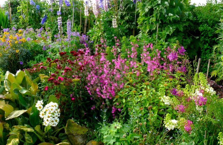 Scottish country cottage garden