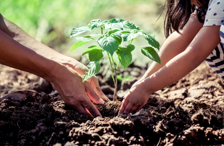 Little girl helping her father to plant the tree