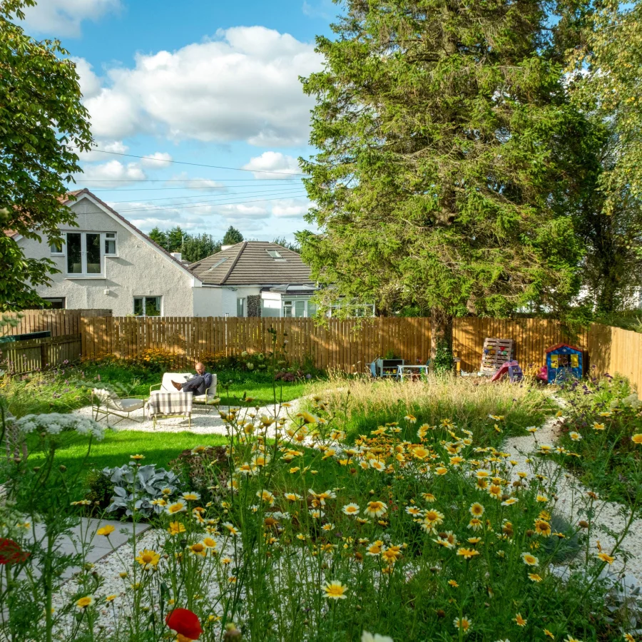 Meadow After