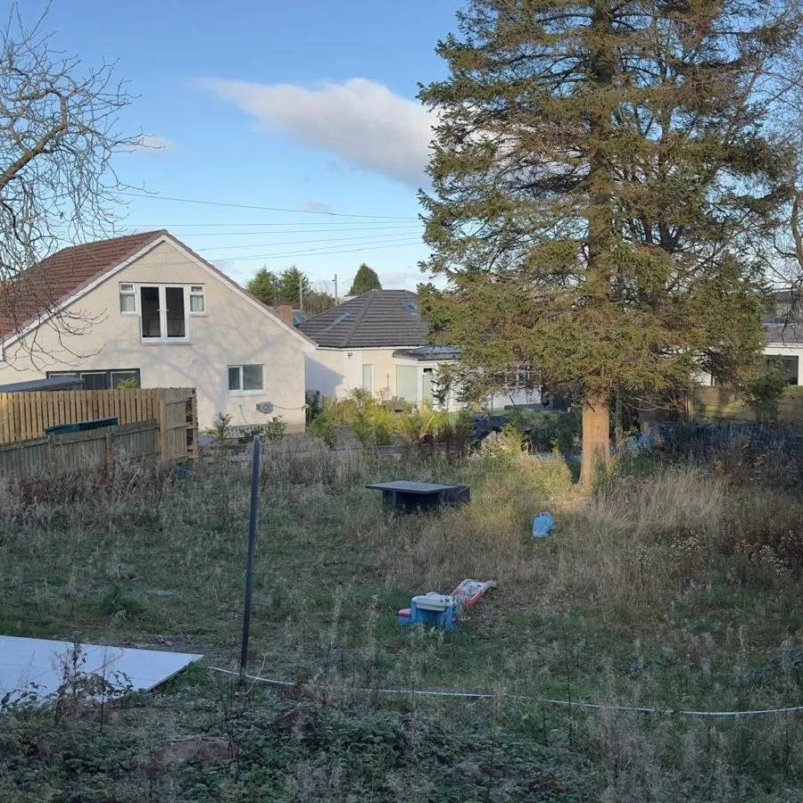 Before Meadow