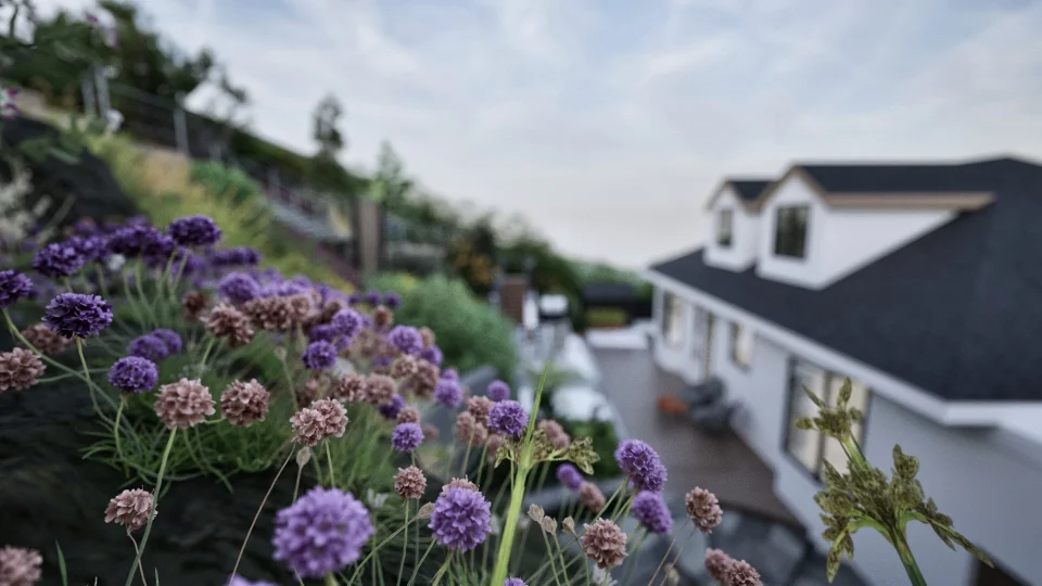 Cliff Garden Design Image1 017