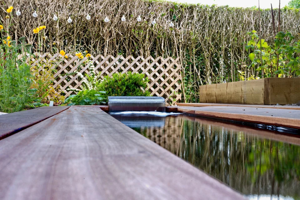 Rill Garden DSC6720
